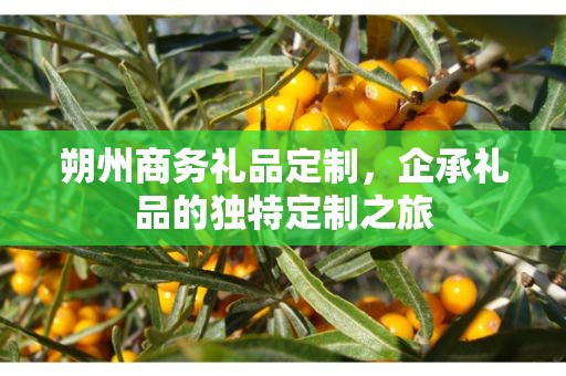 朔州商务礼品定制，企承礼品的独特定制之旅