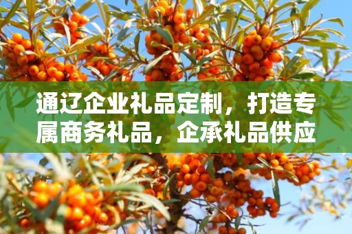 通辽企业礼品定制，打造专属商务礼品，企承礼品供应链助力企业福利升级