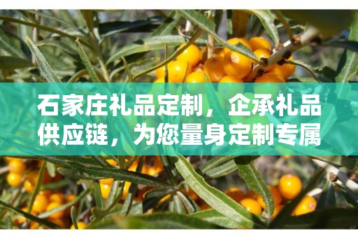 石家庄礼品定制，企承礼品供应链，为您量身定制专属礼品
